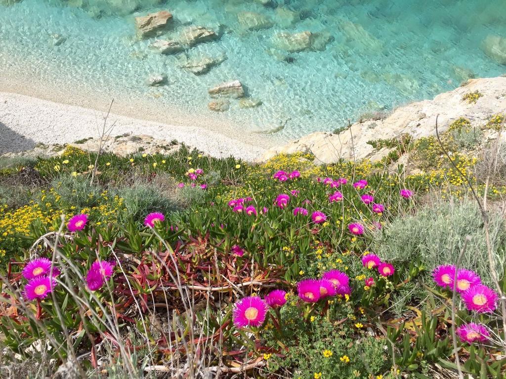 Experience Relais " Il Termine Elba " Hotel Rio Marina Luaran gambar